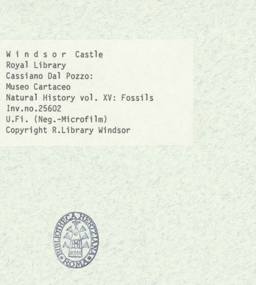 Rückseite von bh403047_recto