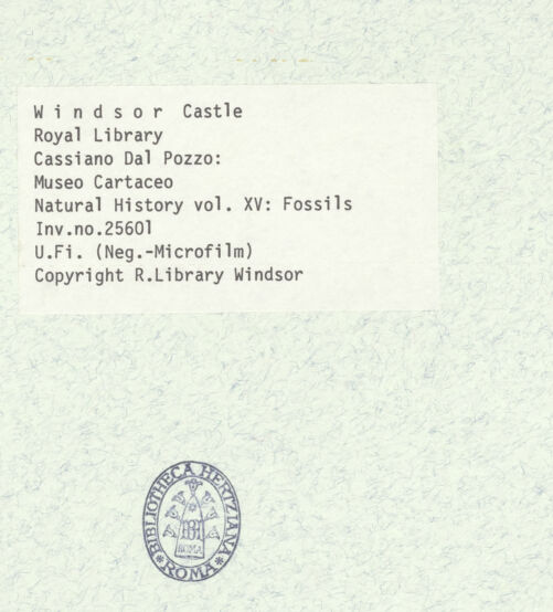 Rückseite von bh403048_recto