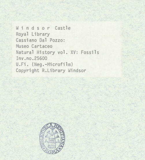 Rückseite von bh403049_recto