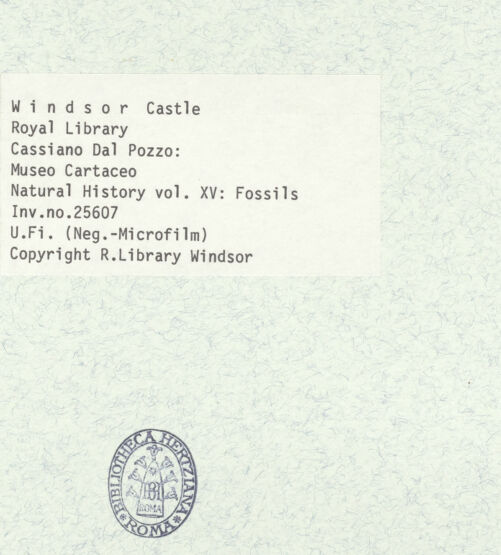 Rückseite von bh403052_recto