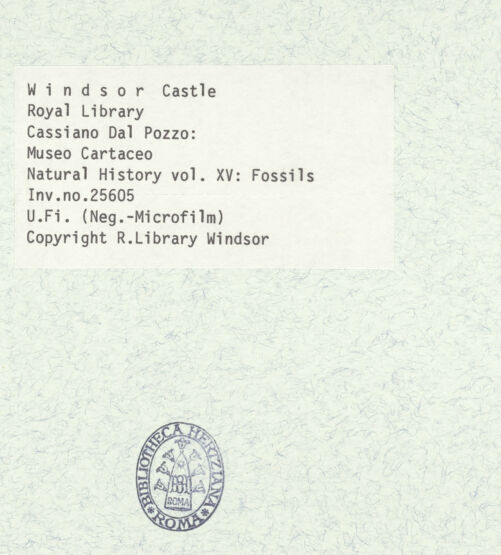 Rückseite von bh403054_recto