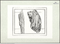 Thumbnail des vierten Ordners