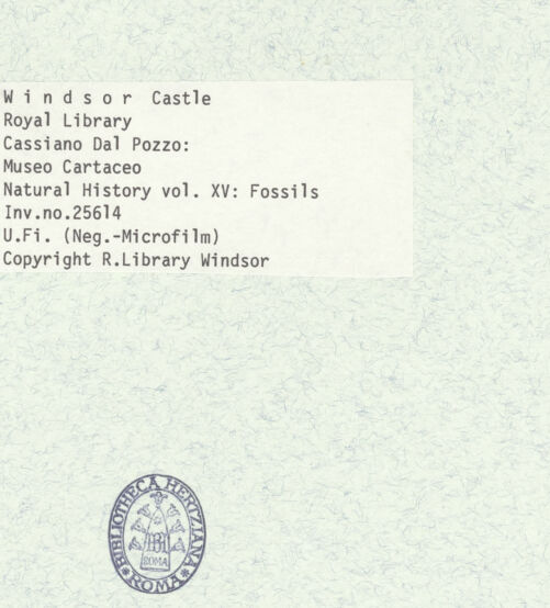 Rückseite von bh403055_recto