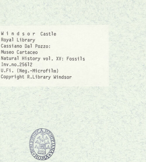 Rückseite von bh403057_recto