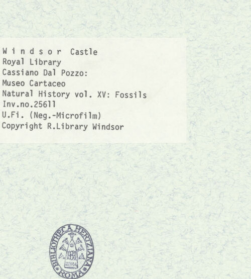 Rückseite von bh403058_recto