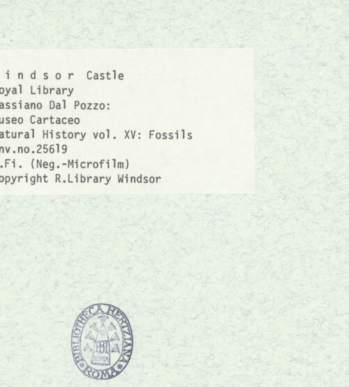 Rückseite von bh403060_recto