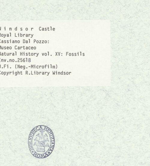 Rückseite von bh403061_recto