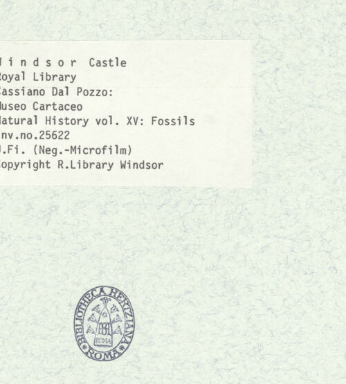 Rückseite von bh403067_recto