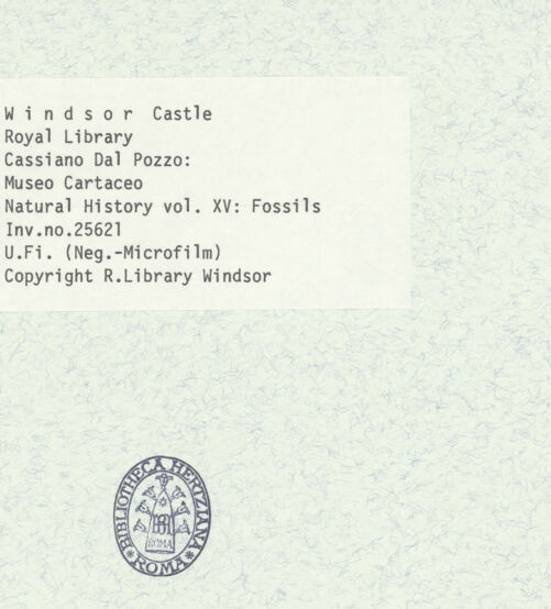 Rückseite von bh403068_recto