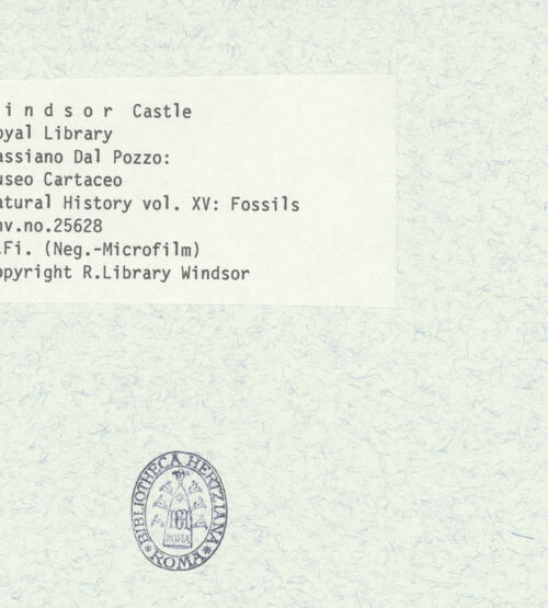 Rückseite von bh403071_recto