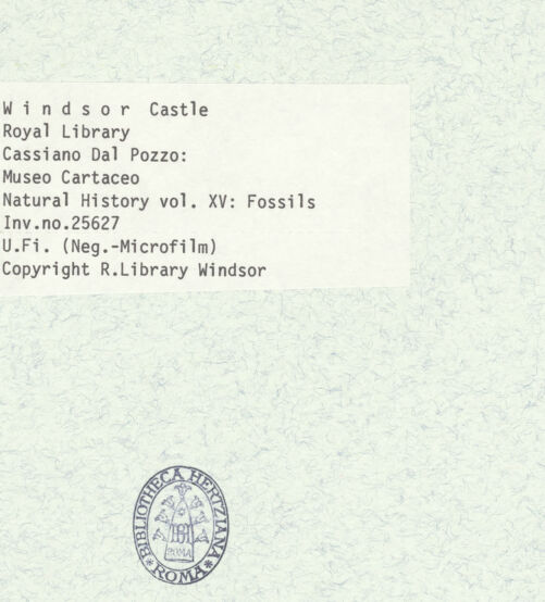 Rückseite von bh403072_recto