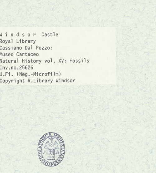 Rückseite von bh403073_recto