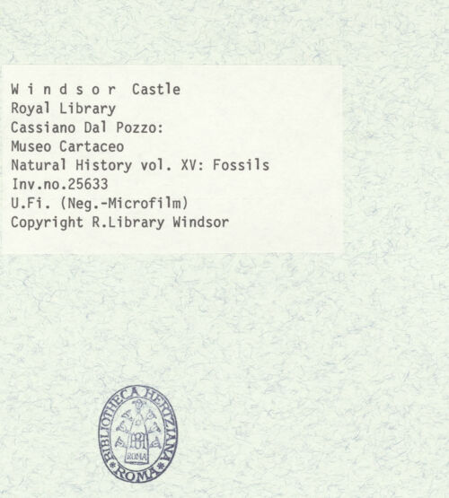 Rückseite von bh403076_recto