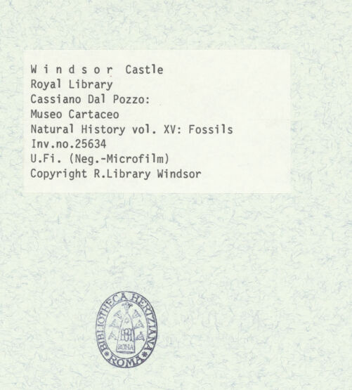 Rückseite von bh403077_recto