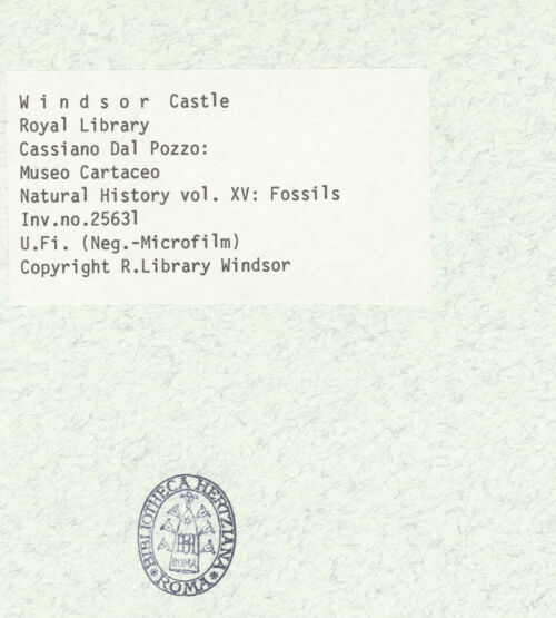 Rückseite von bh403078_recto