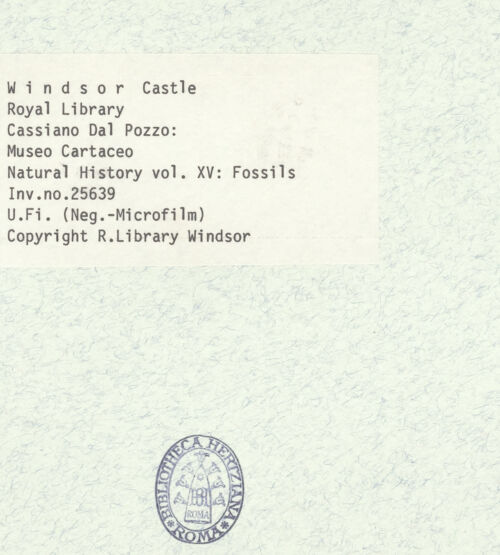 Rückseite von bh403080_recto