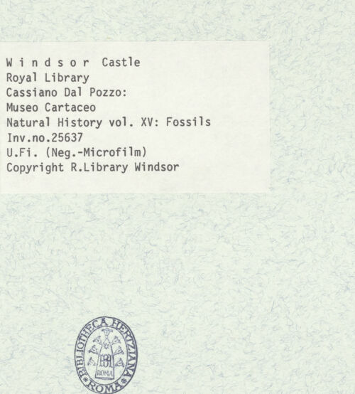 Rückseite von bh403082_recto