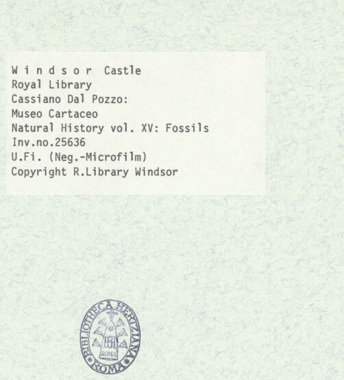 Rückseite von bh403083_recto