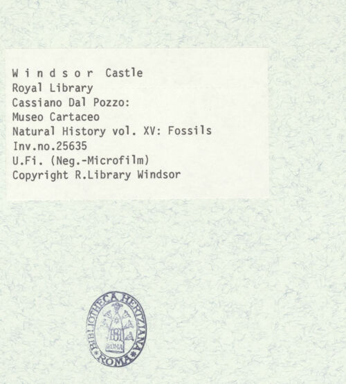 Rückseite von bh403084_recto