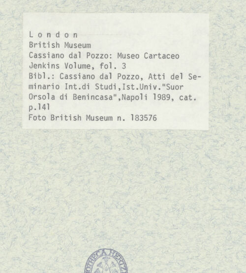 Rückseite von bh403362_recto