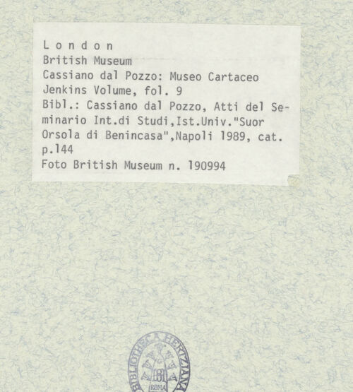 Rückseite von bh403365_recto