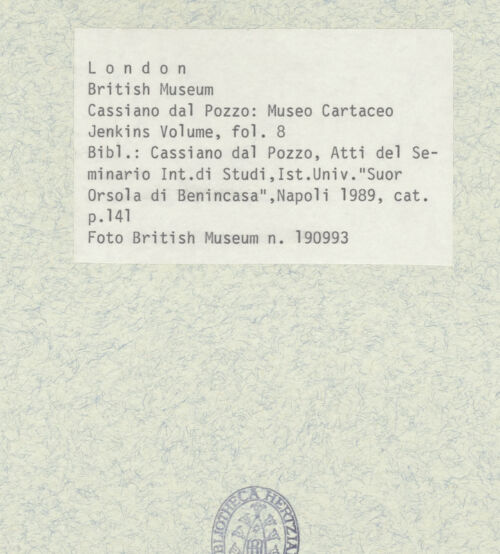 Rückseite von bh403366_recto