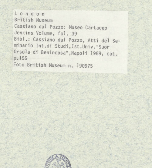 Rückseite von bh403405_recto