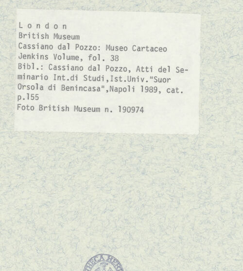 Rückseite von bh403406_recto