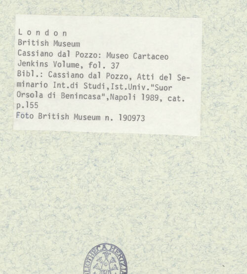 Rückseite von bh403407_recto