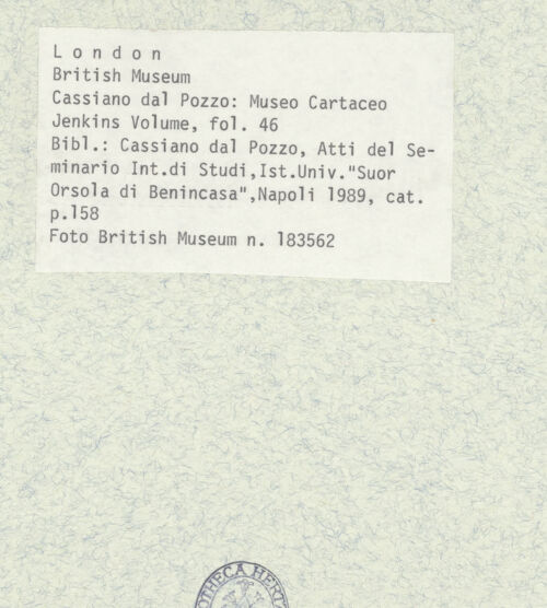 Rückseite von bh403418_recto