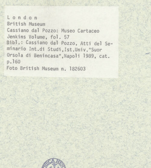 Rückseite von bh403428_recto