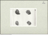 Thumbnail des fünften Ordners