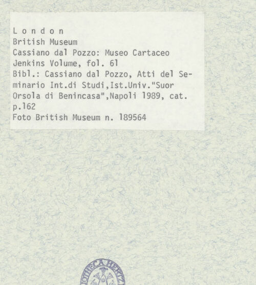 Rückseite von bh403434_recto