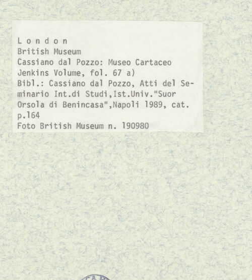 Rückseite von bh403437_recto