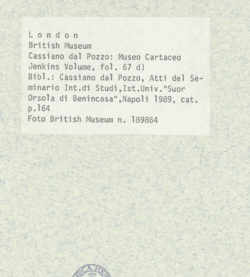 Rückseite von bh403444_recto