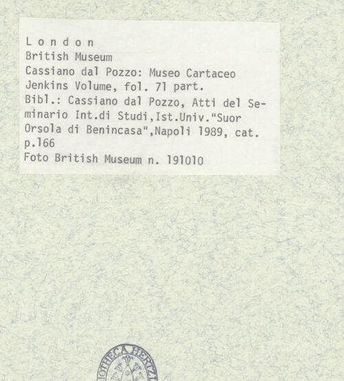 Rückseite von bh403445_recto