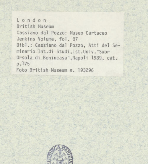 Rückseite von bh403467_recto