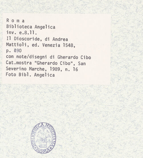 Rückseite von bh403863_recto