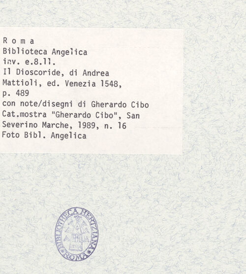 Rückseite von bh403864_recto