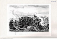 Thumbnail für DE-BELLY