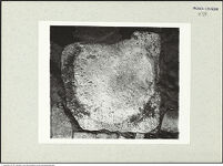 Thumbnail des 6. Ordners