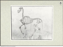 Thumbnail des dritten Ordners