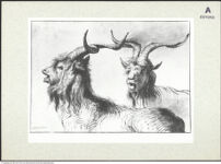 Thumbnail des 9. Ordners