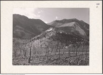 Thumbnail des 15. Ordners