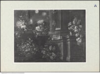 Thumbnail des zweiten Ordners