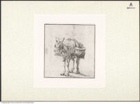 Thumbnail des 6. Ordners