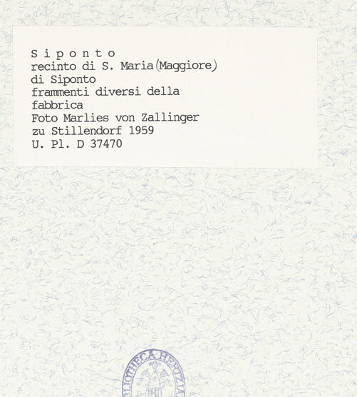 Rückseite von Bibliotheca Hertziana [https://www.deutsche-digitale-bibliothek.de/content/lizenzen/rv-fz/] Basilica Paleocristiana - Bauplastische Fragmente, bh418724_recto. Foto: Zallinger zu Stillendorf, Marlies von.