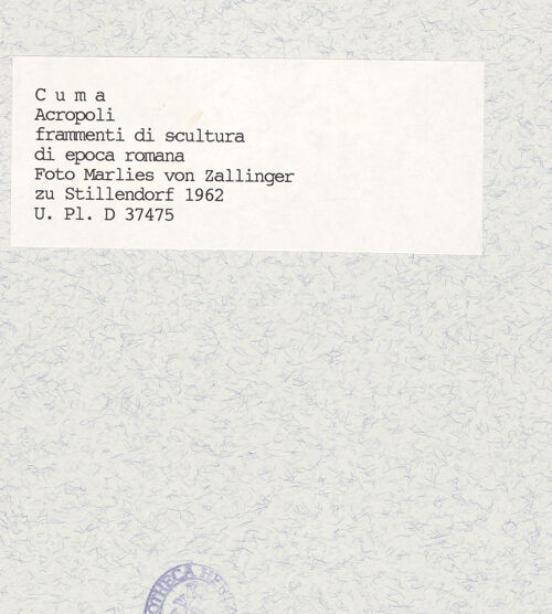 Rückseite von Bibliotheca Hertziana [https://www.deutsche-digitale-bibliothek.de/content/lizenzen/rv-fz/] Stierfigur auf einer antiken Konsole - Seitenansicht von rechts, bh418730_recto. Foto: Zallinger zu Stillendorf, Marlies von.