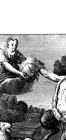 Rückseite von bh419106x