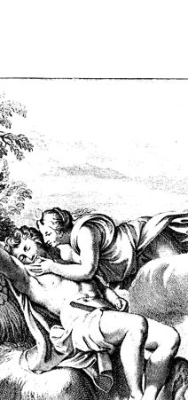 Rückseite von bh419107x